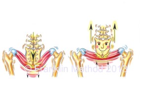 bounce pelvic floor