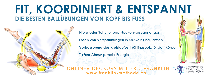 fit, koordiniert-banner